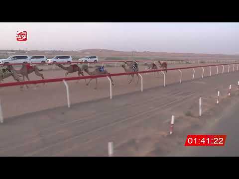  ش 6 (سراب) لـ عبدالله حمدان بالكيله العامري 3:09 ، شارة صندوق الحلفه 2026/07/26 فطامين الجبيب