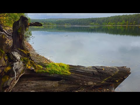 Katri Helena - Unten erämaa