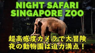シンガポール動物園 ナイトサファリを超高感度カメラで大冒険！(α7S III / 16-35 GM)