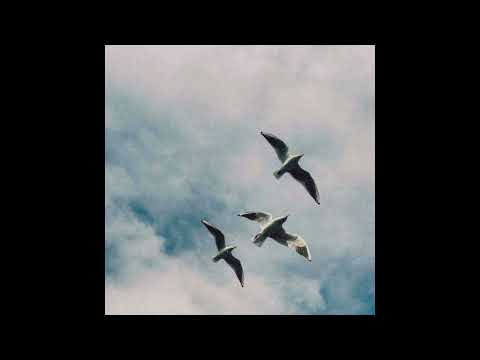 (FREE) AARON MAY x ISAIAH RASHAD TYPE BEAT "HOW MUCH" | CHILL RAP TYPE BEAT