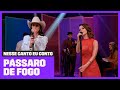 Sandy E Ana Castela Fazem Dueto De Pássaro De Fogo Nesse Canto Eu Conto Música Multishow