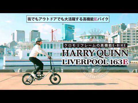 電動アシスト自転車 LIVERPOOL 163E リヴァプール 163E Olive 88526-15