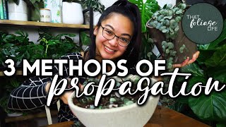 How to Propagate String of Hearts