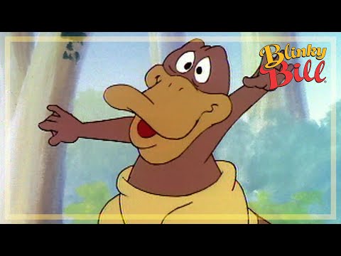 BLINKY REMEMBERS NUTSYS BIRTHDAY - Episode 7 - Season 2 - The Adventures of Blinky Bill