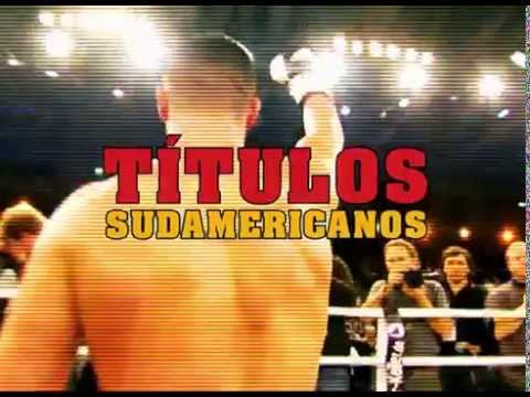 Boxeo Profesional - Arano Box