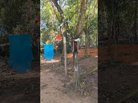 Oração direto do Monte em Santo Antônio de Pádua RJ