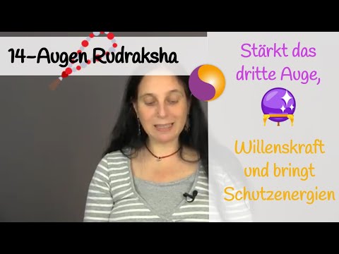 14-Augen Rudraksha (14 Mukhi) - stärkt das dritte Auge, Willenskraft und bringt Schutzenergien