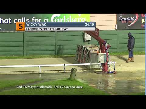 2020 LADBROKES GOLD COLLAR - HEAT 3 - T5 WICKY WAG