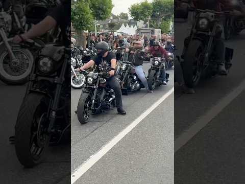 Harley Crash 💥 #harley #breakout #softail