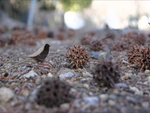 Sarah Brightman   Time to say goodbye