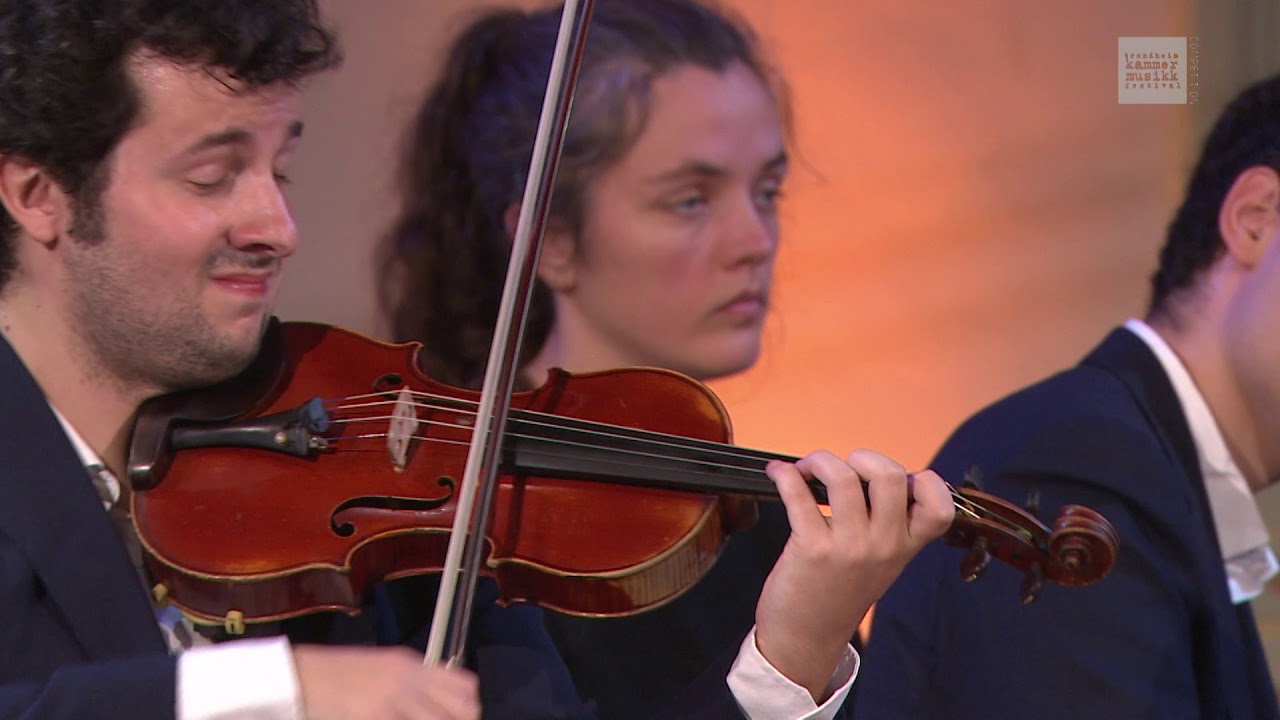 Beethoven - Piano Trio in c minor, Op. 1 No. 3