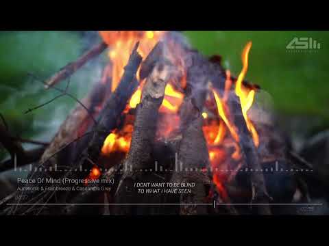 Aurosonic & Frainbreeze & Cassandra Grey - Peace Of Mind (Progressive Mix) Lyrics: Hidden Tigress