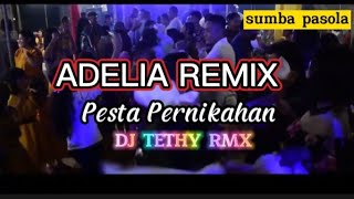Download lagu ADELIA REMIX// Pesta Pernikahan// DJ TETHY Rimex mp3