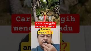 Download lagu looking for honey in a strange way ⁉️⁉️ ZACKDFILMS mp3