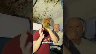 Biohazard On A Plane 🤢