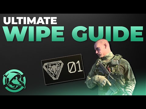 Ultimate Complete Wipe Guide - Escape from Tarkov