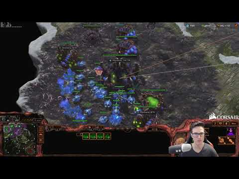 Don’t underestimate the new CattleBruisers in TvZ