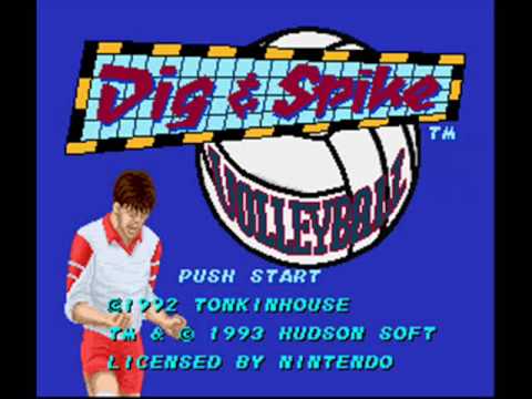 Dig & Spike Volleyball Super Nintendo