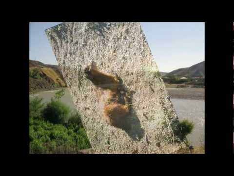 Aram Tigran - Yerivan