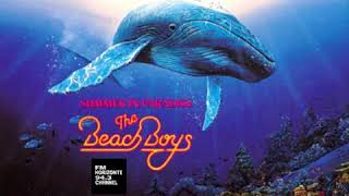 The Beach Boys - Slow Summer Dancin&#39; (One Summer Night) (LYRICS)