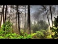 Kyau & Albert - Always A Fool (Original Mix)[HD]
