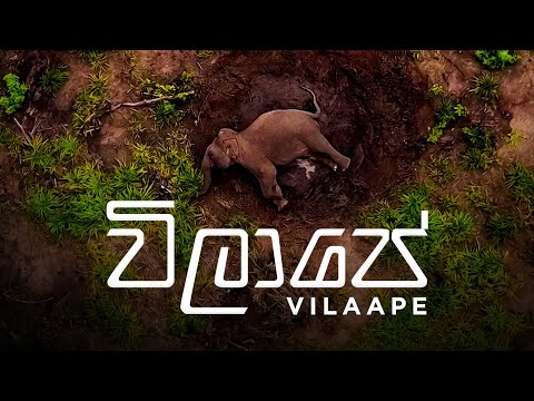 Hustler Bhai  - VILAAPE (විලාපේ) Ft. Manoj Dushan Fonseka (Official Music Video ) | අලි මිනිස් ගැටුම