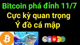 Phân tích bitcoin altcoin hôm nay ngày 11/7 cập nhật thị trường crypto mới nhất hôm nay
