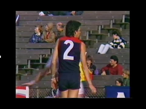 1987 VFL - Geelong v Melbourne - Round 16 - VFL Park
