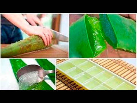 Paninigarilyo nanghihimasok sa pagbaba ng timbang Para sa pagtanggap ng mga tagubilin Reduxine