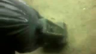 KING PHARAOH OF EGYPT  TREASURES 2017 FOUND