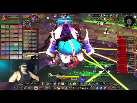 Classic Era - 99 Anub'Rekhan (2,816.5 DPS)