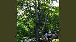 Cover art for Ginseng Strip 2002