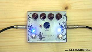Kleissonic Pedals Screaming Skull with Telecaster
