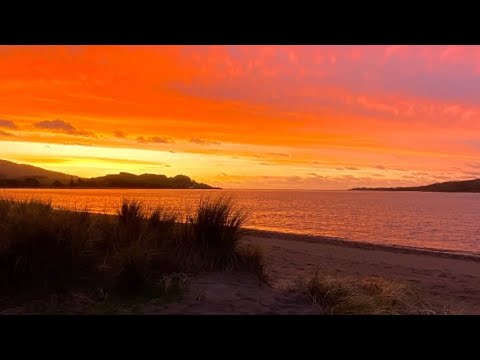 fantasia x nelly x j boog remix saint x foipu 2k22 mashup