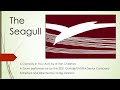 The Seagull