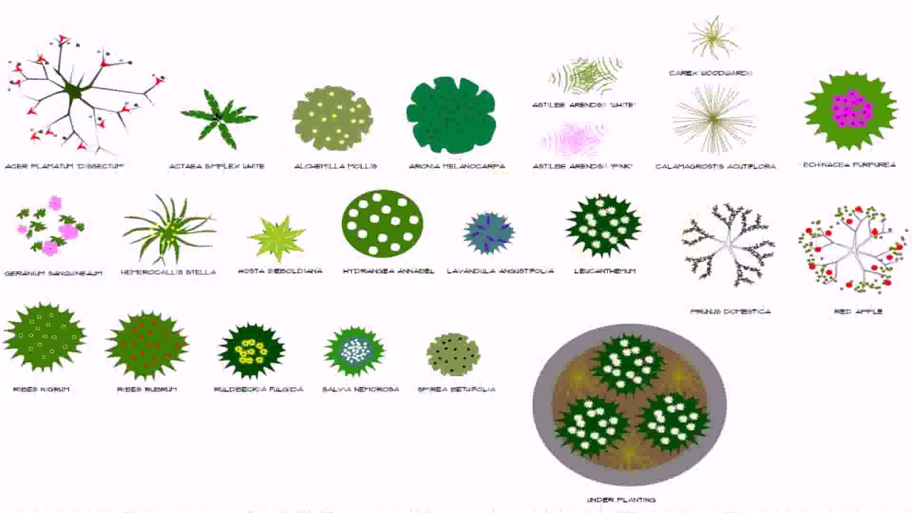 Landscape Design Drafting Templates