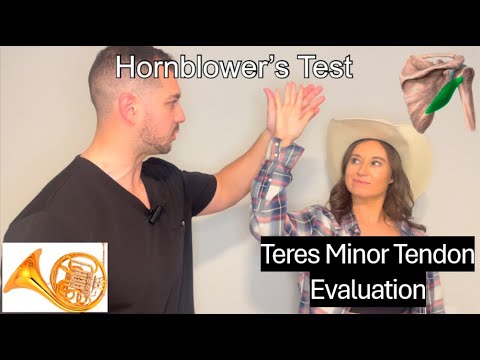 Hornblower's Test (Teres Minor Injury): Orthopedic Physical Exam