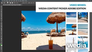 Vidéo de Wedia
