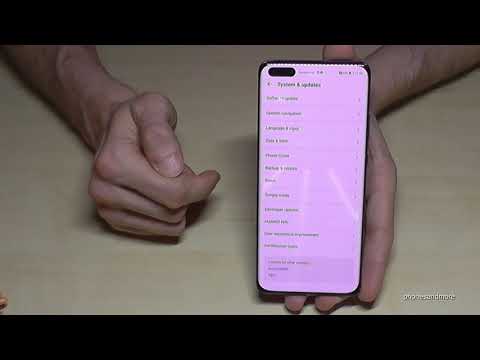 Huawei P40 Pro: How to enable the Developer Options? for USB Debugging etc.; works also for P40 Lite