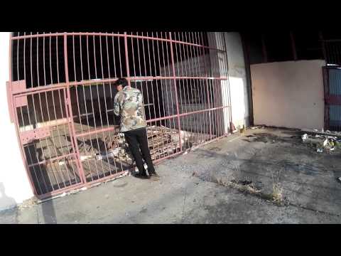 Park Adventures w/ PL9000 Featuring : LA POLLA