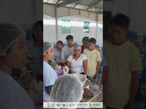Ações do projeto "Humanitas - Pirarucu" Edital nº 008/2024 – HUMANITAS – CT&I FAPEAM