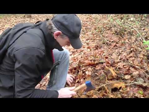 Kienspan Fatwood Zunder finden