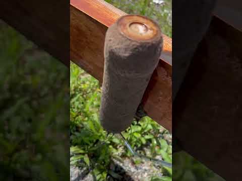 小さなコテージガーデンを作るにはどうすればよいですか？自然な外観を作成するにはどのような植物を育てるべきですか?  庭園