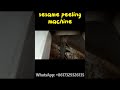 Sesame Peeling Machine In Action Amazing Efficiency Sesame Farming Peeling