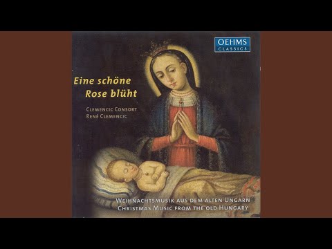 O szerencses e ejszaka - Hallod pajtas