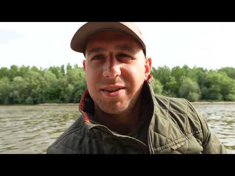 Pecanje Sarana na Dunavu