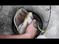 Video Thumbnail for Saskatchewan Trophy Pike - Ice Fishing (LIGHT GEAR)