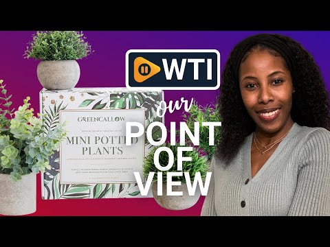 Artificial Plants for Home Decor Indoor. 4 Mini Plants - WTI product video review