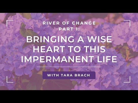 Embracing Life's Impermanence: A Wise Heart Amidst Change with Tara Brach (Part 1)