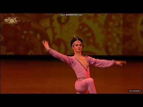 Taiga Kodama-Pomfret, Solor (Grigorovich) Gala, XIV Moscow International Ballet Competition